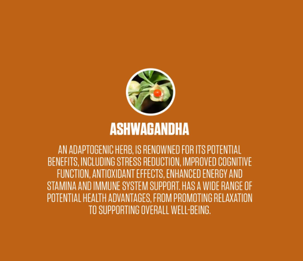 Ashwagandha-2 Pack
